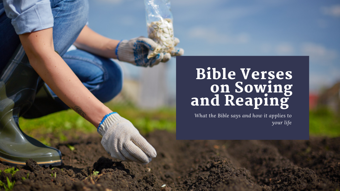 Bible Verses on Sowing and Reaping - Bible Beaver